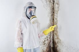 Mold Documentation for Insurance Claims in Hilbert, WI